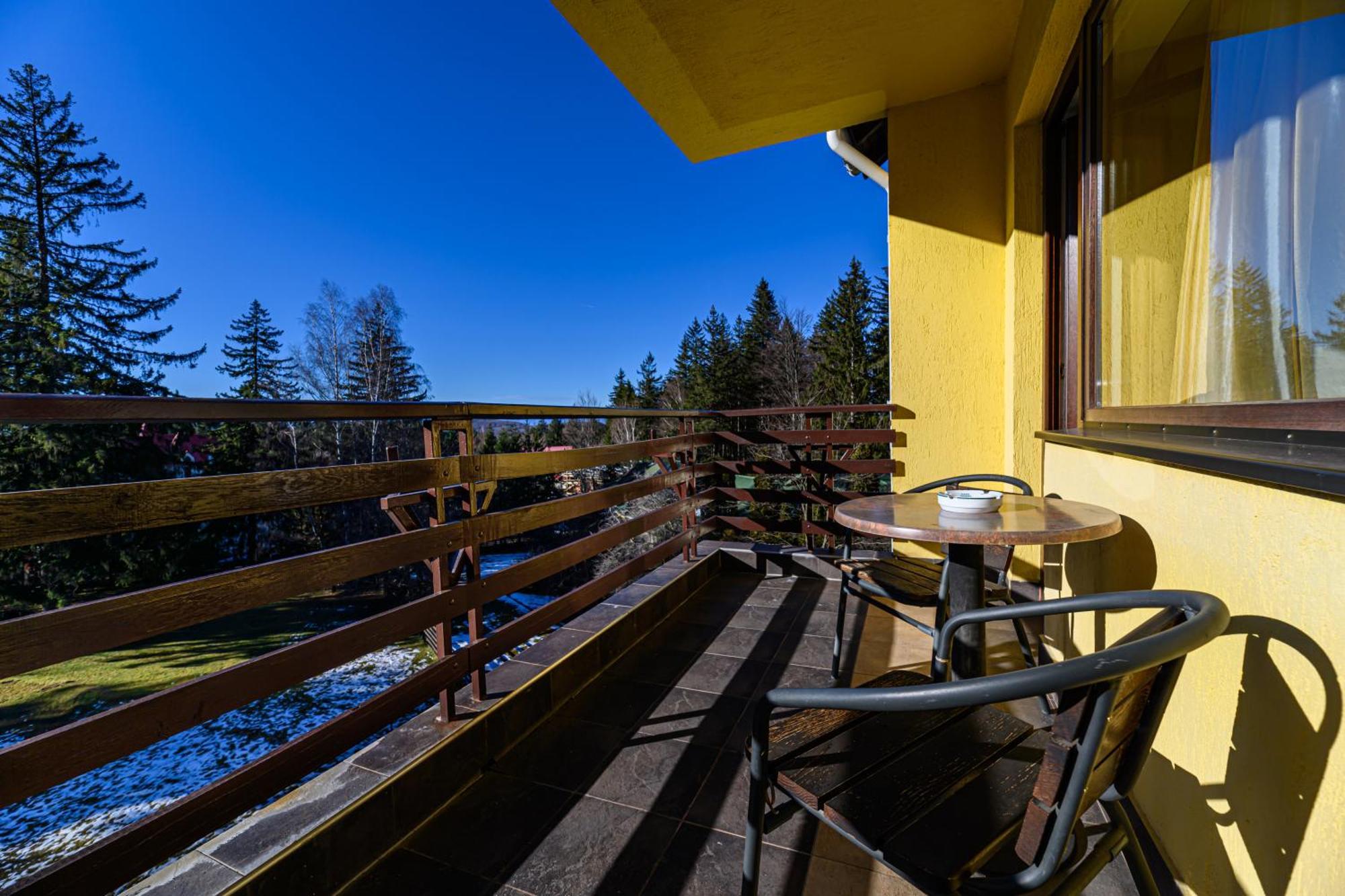 Casa Viorel Jacuzzi & Saunas 3* Poiana Brasov