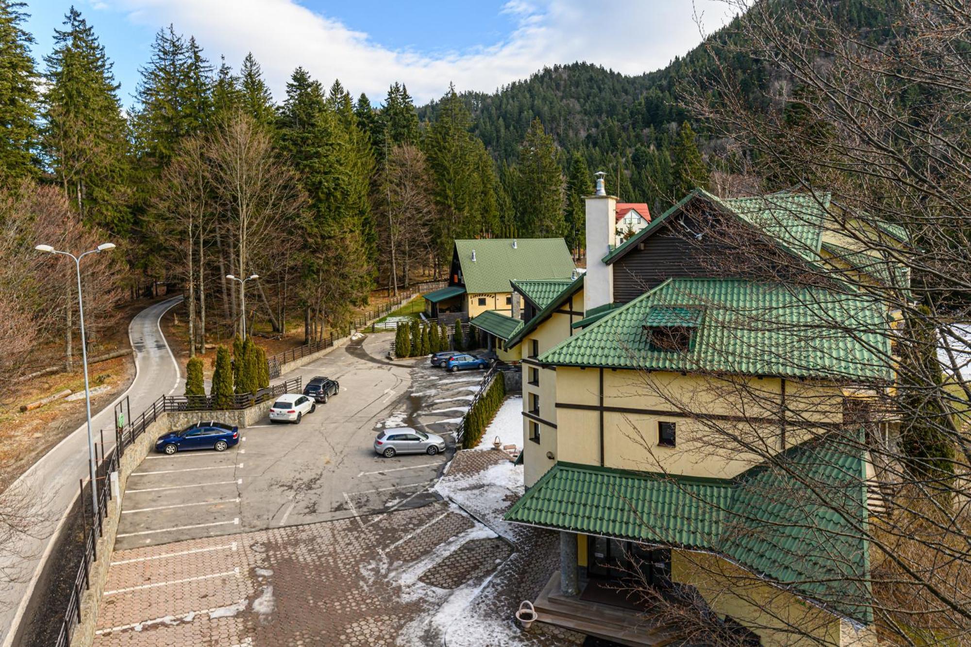 Casa Viorel Jacuzzi & Saunas Hotel 3*