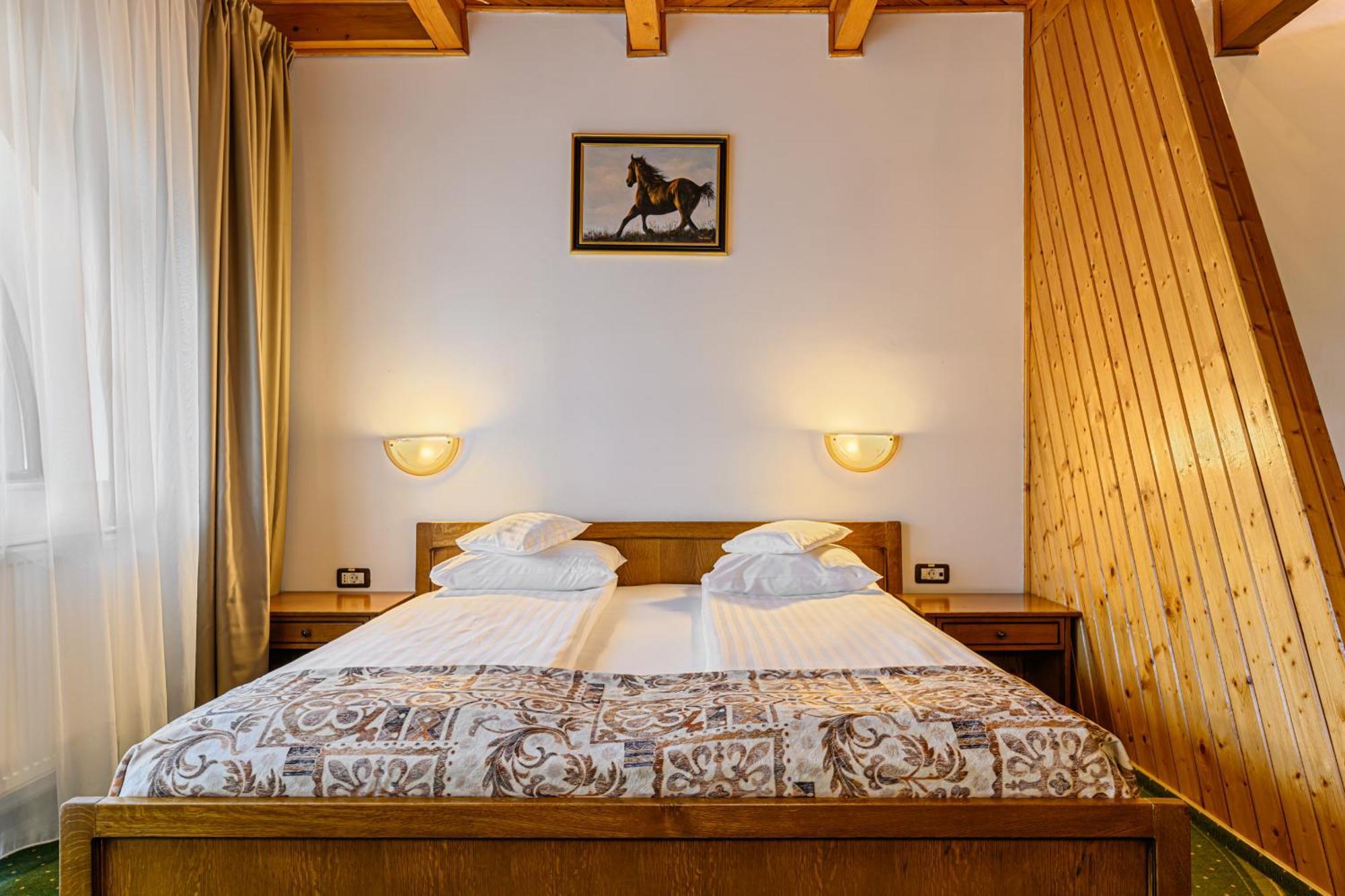 Casa Viorel Jacuzzi & Saunas Hotel