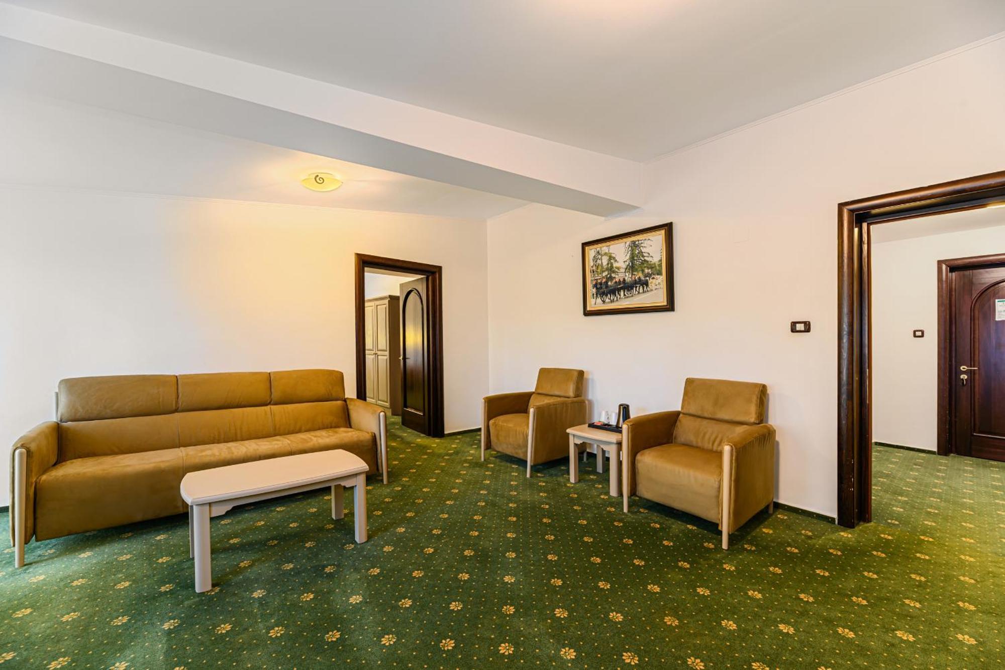 Hotel Casa Viorel Jacuzzi & Saunas 3*