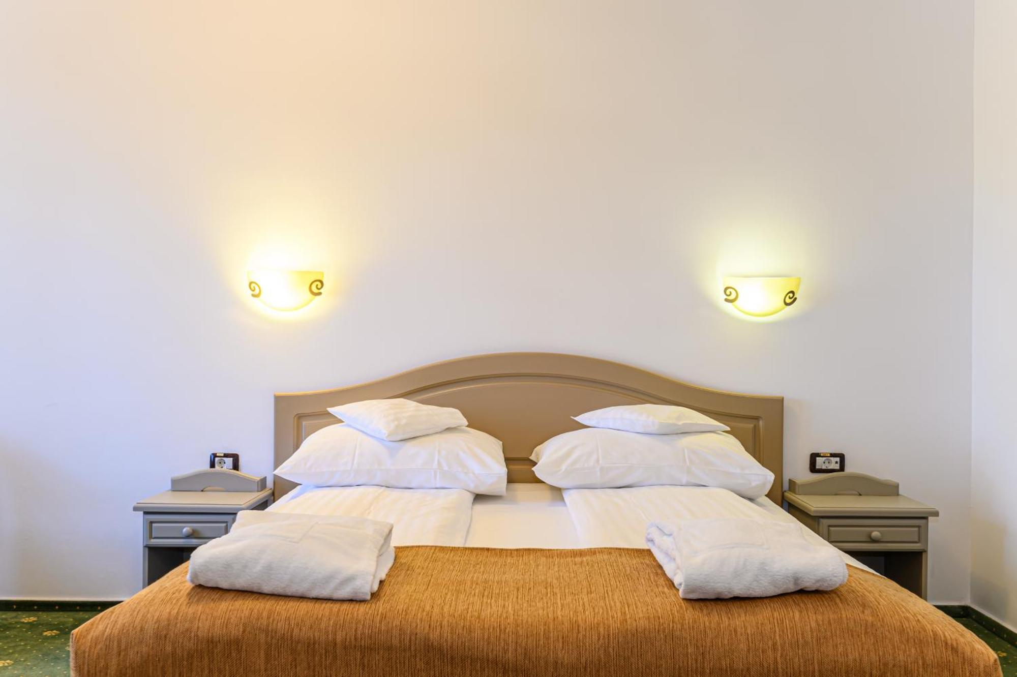 Casa Viorel Jacuzzi & Saunas Hotel